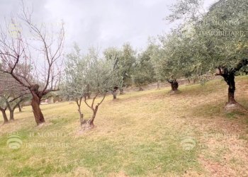 Appartamento Palombara Sabina - foto 41
