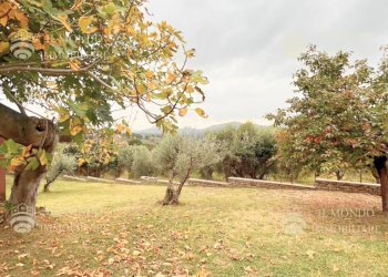 Appartamento Palombara Sabina - foto 43