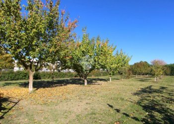 Casa semi indipendente Via coccaro, San Pietro in Casale - foto 7