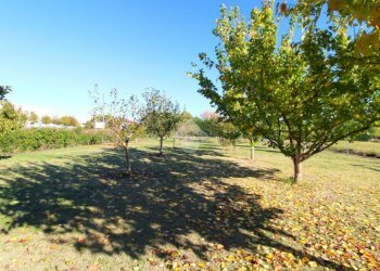 Casa semi indipendente Via coccaro, San Pietro in Casale - foto 8