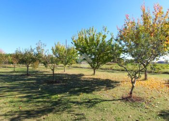 Casa semi indipendente Via coccaro, San Pietro in Casale - foto 9