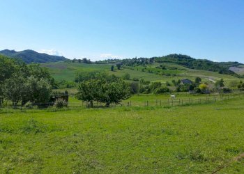 Vista - Rustico Via Torino, 46, Castelletto Merli - foto 22