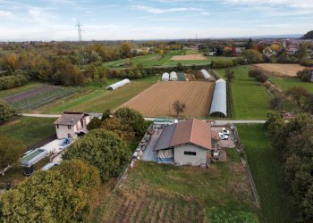 Capannone Via Don Agostino Pellegrino, frazione Fontanelle, Boves - foto 5