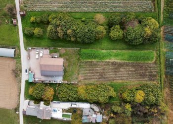 Capannone Via Don Agostino Pellegrino, frazione Fontanelle, Boves - foto 32