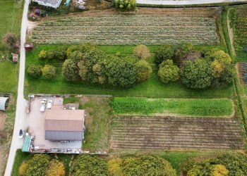 Capannone Via Don Agostino Pellegrino, frazione Fontanelle, Boves - foto 7