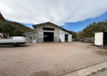 Capannone Via Don Agostino Pellegrino, frazione Fontanelle, Boves - foto 12