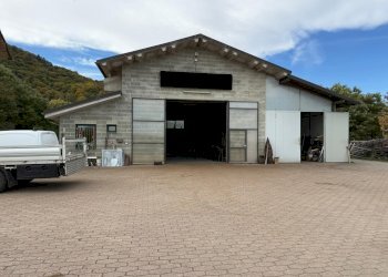 Capannone Via Don Agostino Pellegrino, frazione Fontanelle, Boves - foto 14
