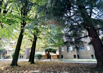 Trilocale VIA BANFI, 4 
 Mezzago, Mezzago - foto 34