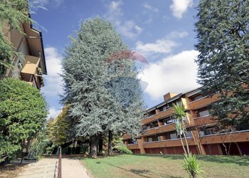 Trilocale VIA BANFI, 4 
 Mezzago, Mezzago - foto 36