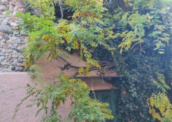 Casa indipendente VIA CASTELLO, 3 
 Borgo Ticino, Borgo Ticino - foto 42