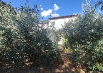 Casa indipendente Via Tessello, Cesena - foto 7