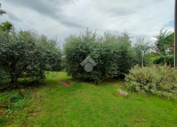 Casa indipendente Via Tessello, Cesena - foto 9