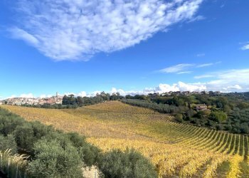 Foto 41 - Villa Via San Matteo
 
snc, Monterotondo - foto 37