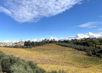 Foto 42 - Villa Via San Matteo
 
snc, Monterotondo - foto 38