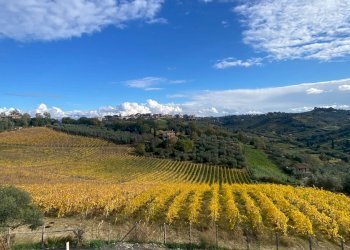 Foto 45 - Villa Via San Matteo
 
snc, Monterotondo - foto 41