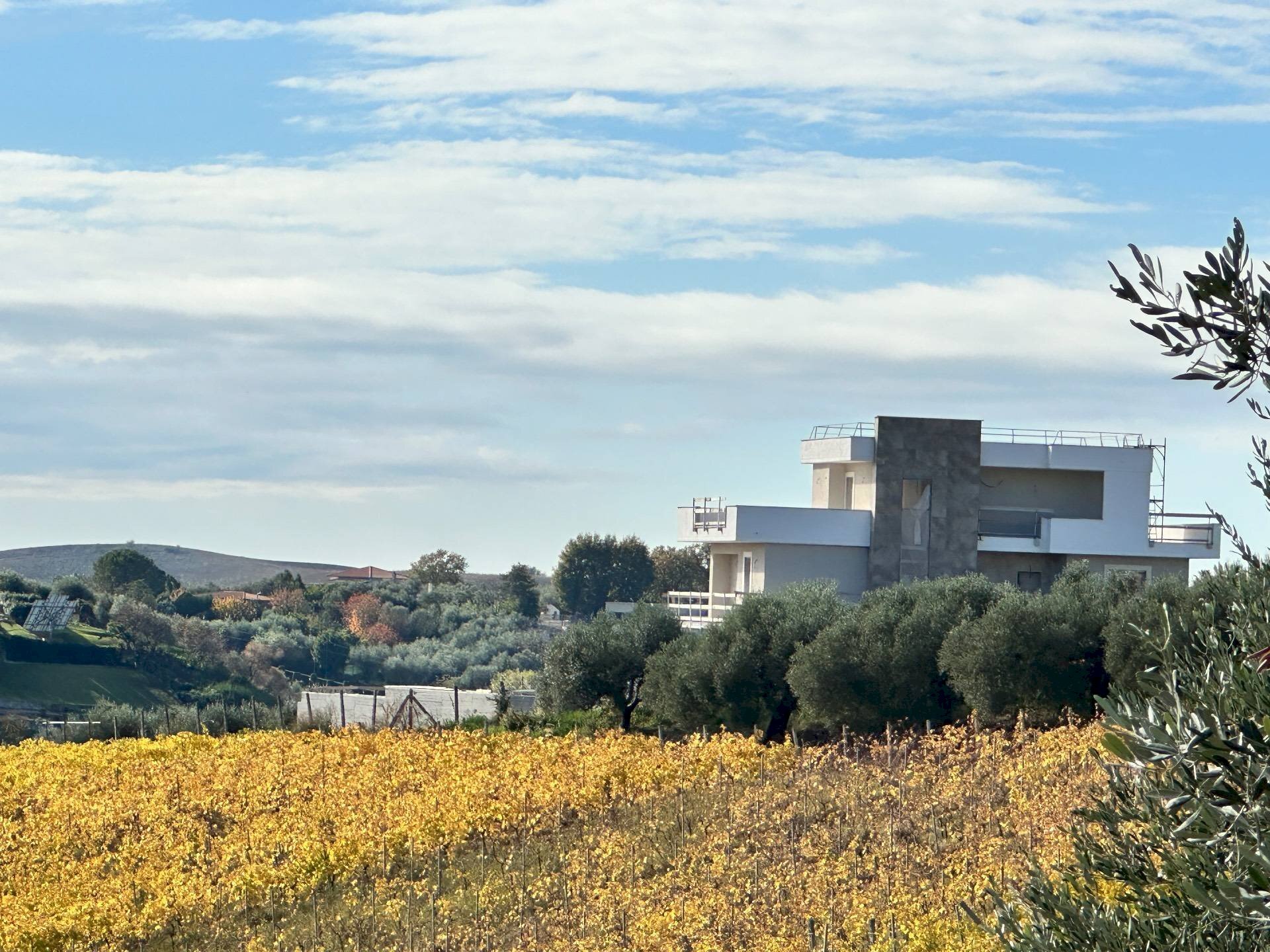 Foto 1 - Villa Via San Matteo
 
snc, Monterotondo - foto 1