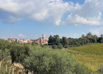 Foto 9 - Villa Via San Matteo
 
snc, Monterotondo - foto 9