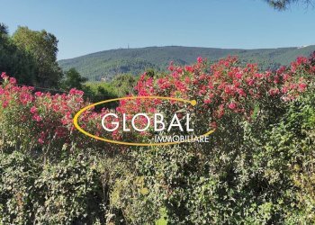 Foto 2 - Casa indipendente Sirolo - foto 2