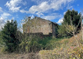 Foto 20 - Rustico Via veroncora
 
snc, Busto Arsizio - foto 17