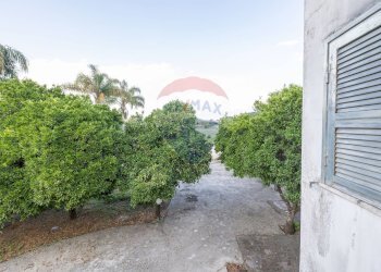 Giardino - Villa Sant'Anastasia - photo 27