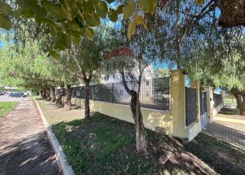 Giardino - Capannone Via Puglia
 
18, Acquaviva delle Fonti - foto 17