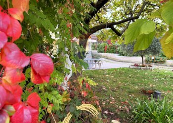 Giardino - Villa Via Fontanelle
 
19, Alife - photo 36