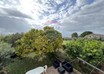 Giardino - Villa Via Fontanelle
 
19, Alife - photo 44