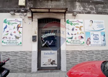 Edificio all\'aperto - Shop Via Del Rotolo
 
4, Catania - photo 1