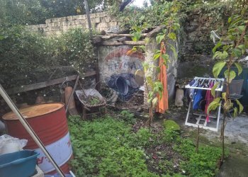 Giardino - Casa indipendente via umbero 1
 
42, Piedimonte Etneo - foto 42