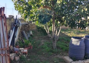 Giardino - Villa via gargano 6, Grammichele - foto 33