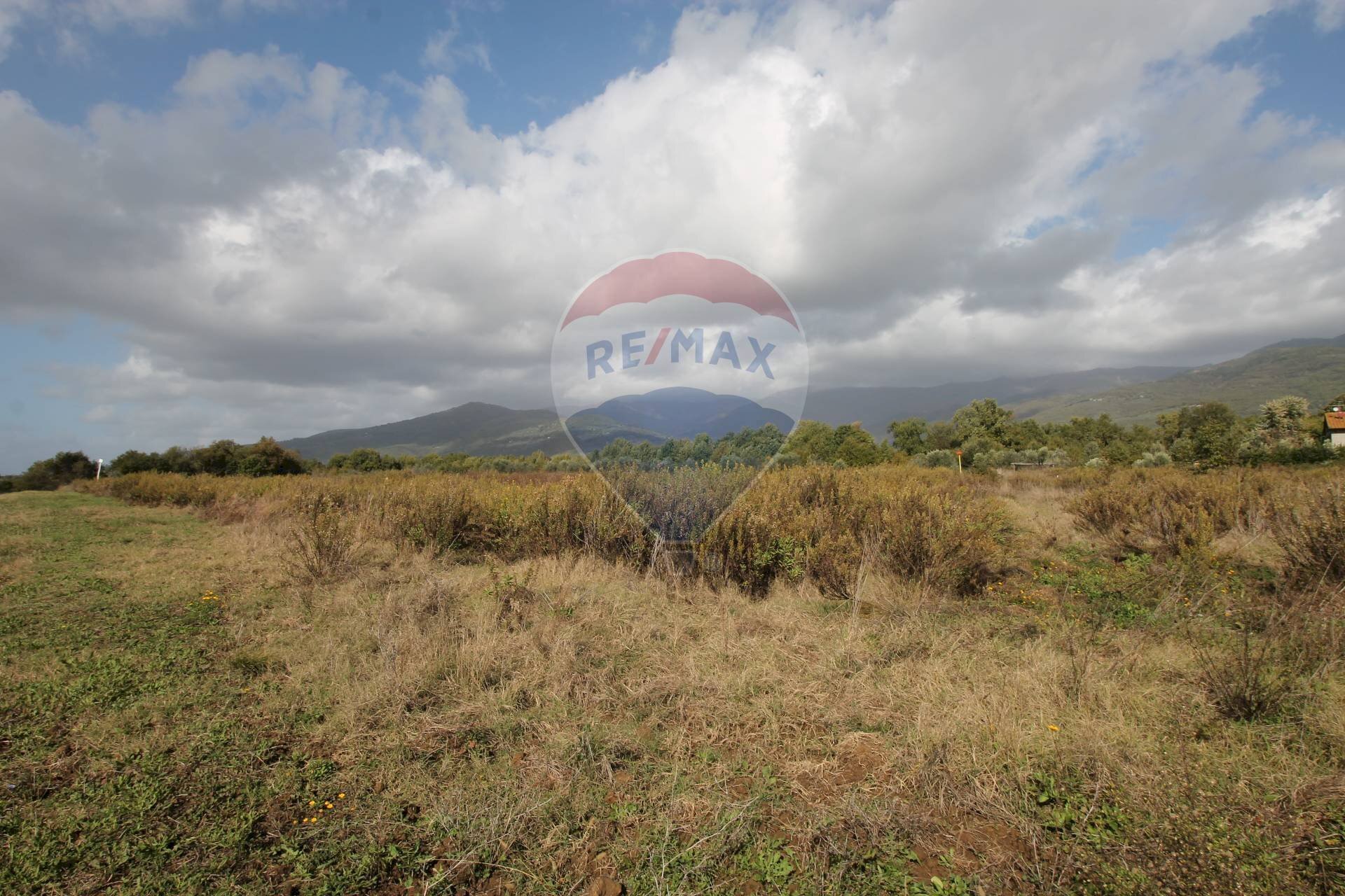 Foto 1 - Terreno agricolo Strada Provinciale Valdarno Casentinese, Terranuova Bracciolini - foto 1