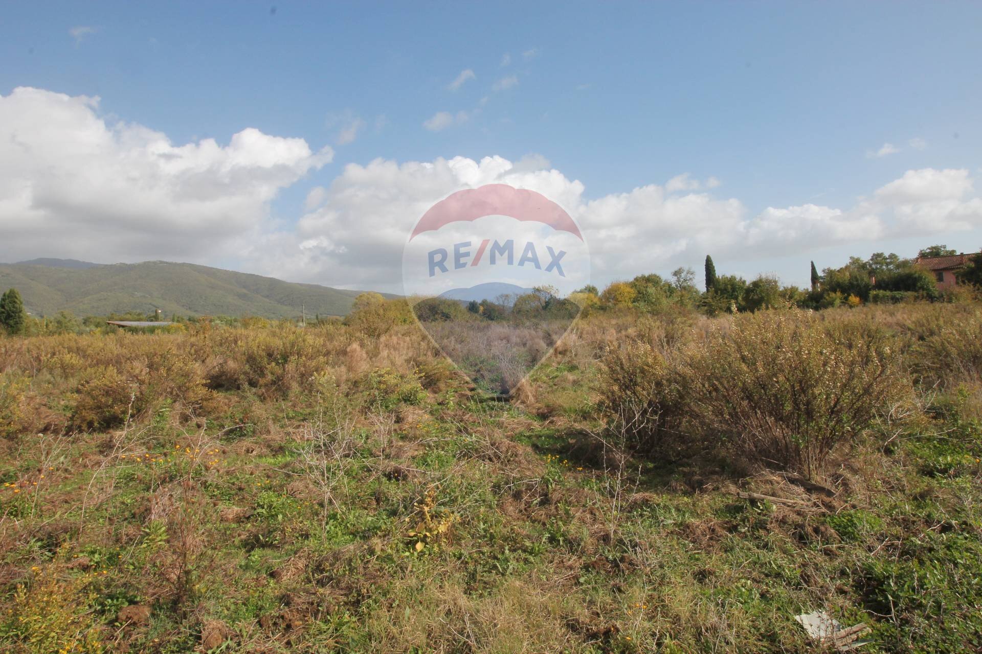 Foto 3 - Terreno agricolo Strada Provinciale Valdarno Casentinese, Terranuova Bracciolini - foto 3