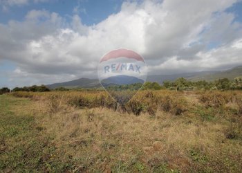 Foto 1 - Terreno agricolo Strada Provinciale Valdarno Casentinese, Terranuova Bracciolini - foto 1