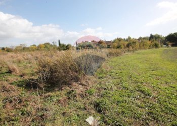 Foto 2 - Terreno agricolo Strada Provinciale Valdarno Casentinese, Terranuova Bracciolini - foto 2