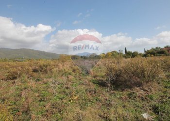 Foto 3 - Terreno agricolo Strada Provinciale Valdarno Casentinese, Terranuova Bracciolini - foto 3