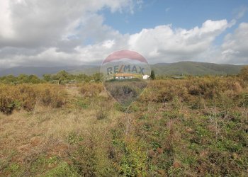 Foto 4 - Terreno agricolo Strada Provinciale Valdarno Casentinese, Terranuova Bracciolini - foto 4