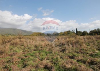 Foto 5 - Terreno agricolo Strada Provinciale Valdarno Casentinese, Terranuova Bracciolini - foto 5