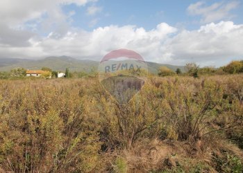 Foto 6 - Terreno agricolo Strada Provinciale Valdarno Casentinese, Terranuova Bracciolini - foto 6