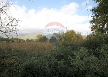 Edificio all\'aperto - Terreno agricolo Strada Provinciale Valdarno Casentinese, Terranuova Bracciolini - foto 7