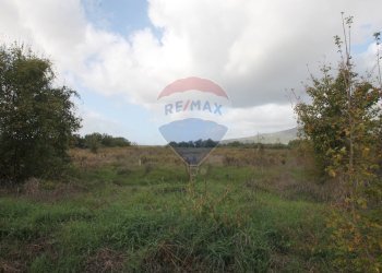 Foto 9 - Terreno agricolo Strada Provinciale Valdarno Casentinese, Terranuova Bracciolini - foto 9