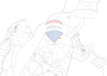 Pianta 2D - Agricultural land Contrada Scappone, Mattinata - photo 8