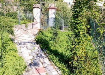 Giardino - Bilocale Via Ritale
 
2/A, Genova - foto 22