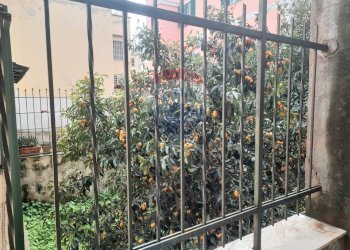 Balcone - Negozio Trav.Cappuccini III, Pozzuoli - foto 9