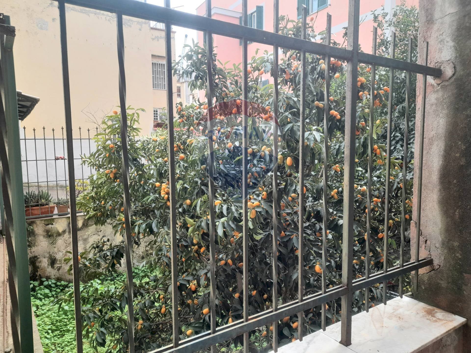 Balcone - Negozio Traversa III di Via Cappuccini, Pozzuoli - foto 3