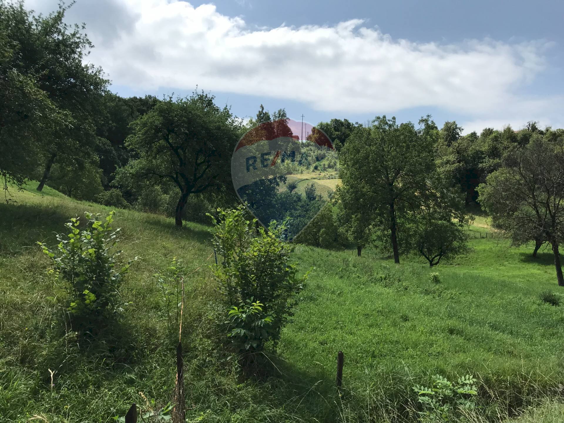 Giardino - Agricultural land Via Camonier
 
13, Zogno - photo 2