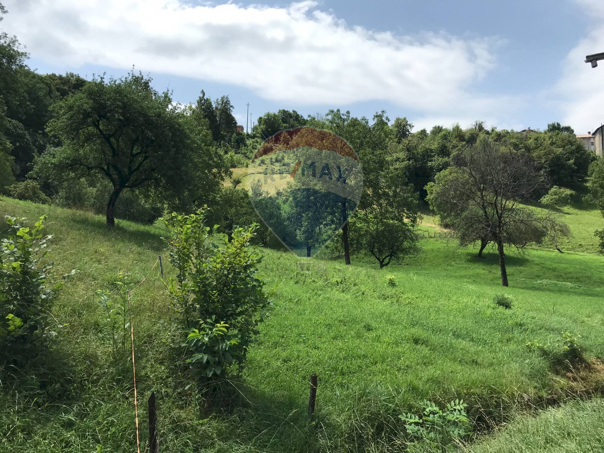 Giardino - Agricultural land Via Camonier
 
13, Zogno - photo 3