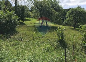 Giardino - Agricultural land Via Camonier
 
13, Zogno - photo 1