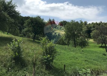 Giardino - Agricultural land Via Camonier
 
13, Zogno - photo 2