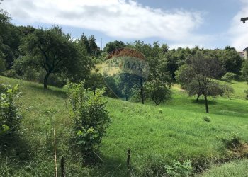 Giardino - Agricultural land Via Camonier
 
13, Zogno - photo 3