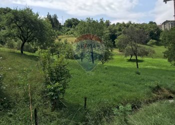 Giardino - Agricultural land Via Camonier
 
13, Zogno - photo 5